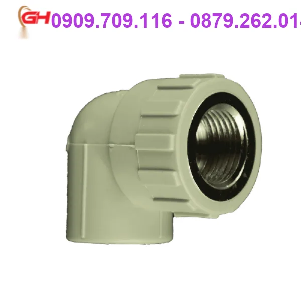 CO REN TRONG PPR TIỀN PHONG