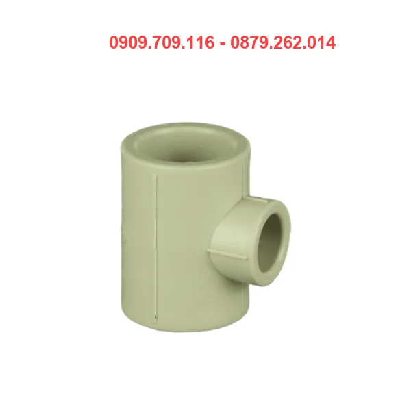 TÊ GIẢM PPR TIỀN PHONG